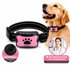 Collier Anti-Aboiement NobleDog