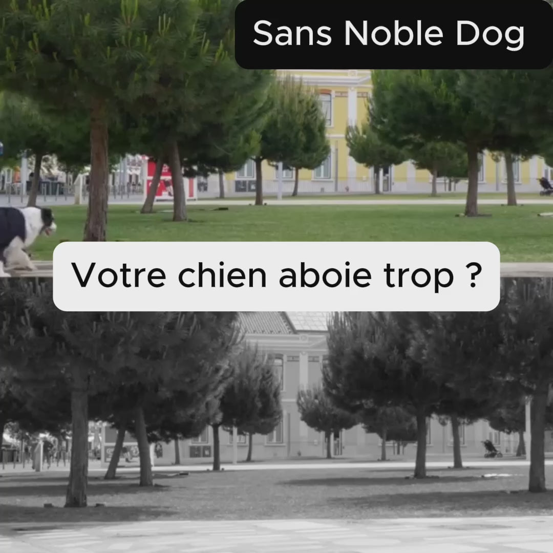 Collier Anti-Aboiement NobleDog